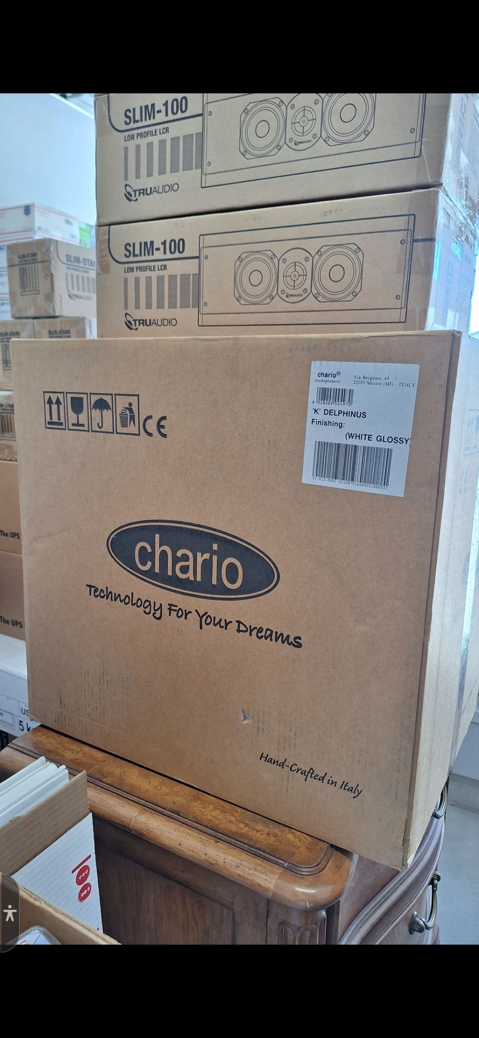 Chario DELPHINUS bookshelf speaker, incredible audiophi... 4