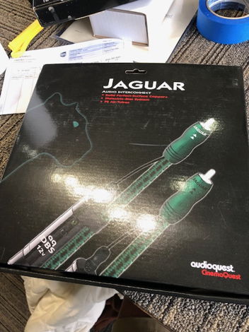 AudioQuest Jaguar