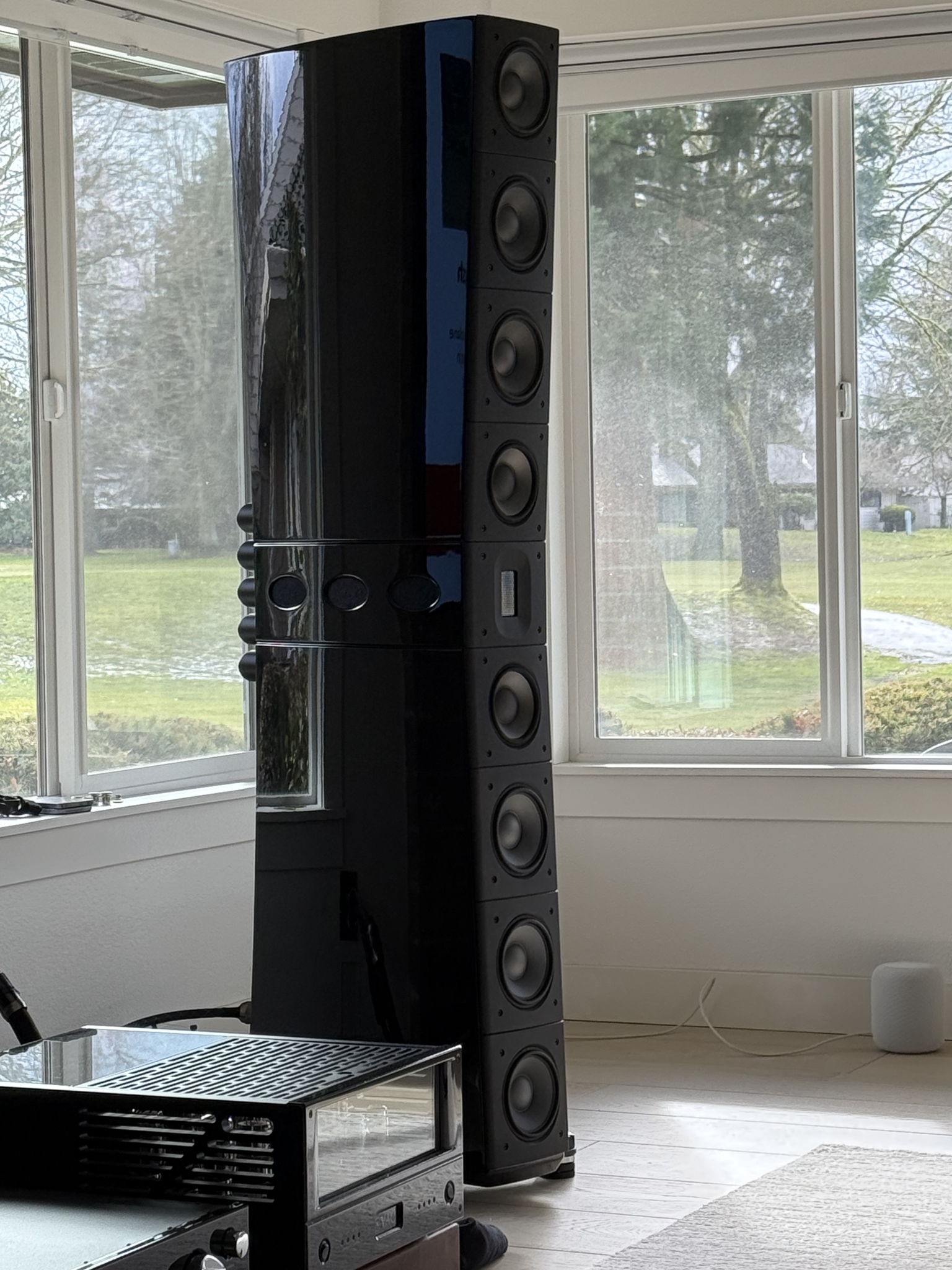 Raidho Acoustics TD 4.8 Speakers in Gloss Black 2