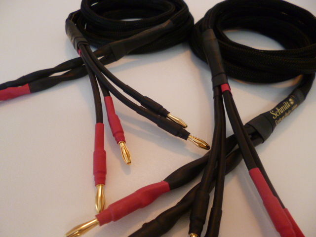 Schmitt Custom Audio Reference 100 4x10 AWG Bi-wire Sp... 5