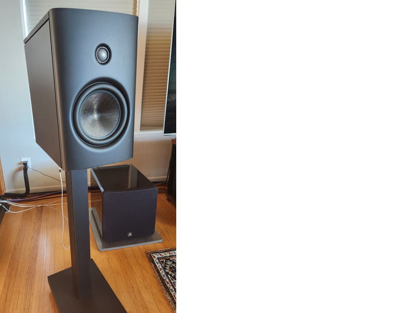 Magico q1 price sales