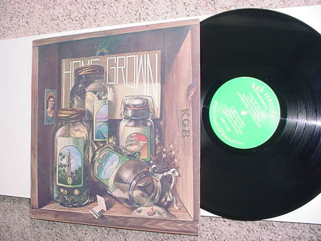 Home Grown IV LP Record San Diego area songs KGB RECORDS