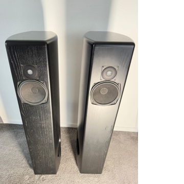 Brocksieper Arabeske speakers in black ash