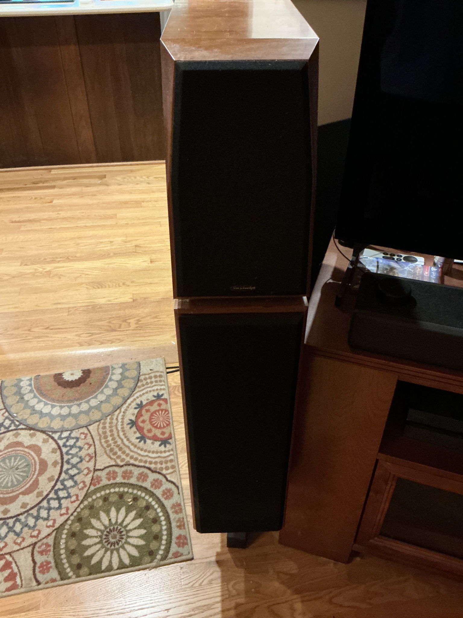 Von Schweikert Audio VR-4jr Full Range Speakers, Africa...