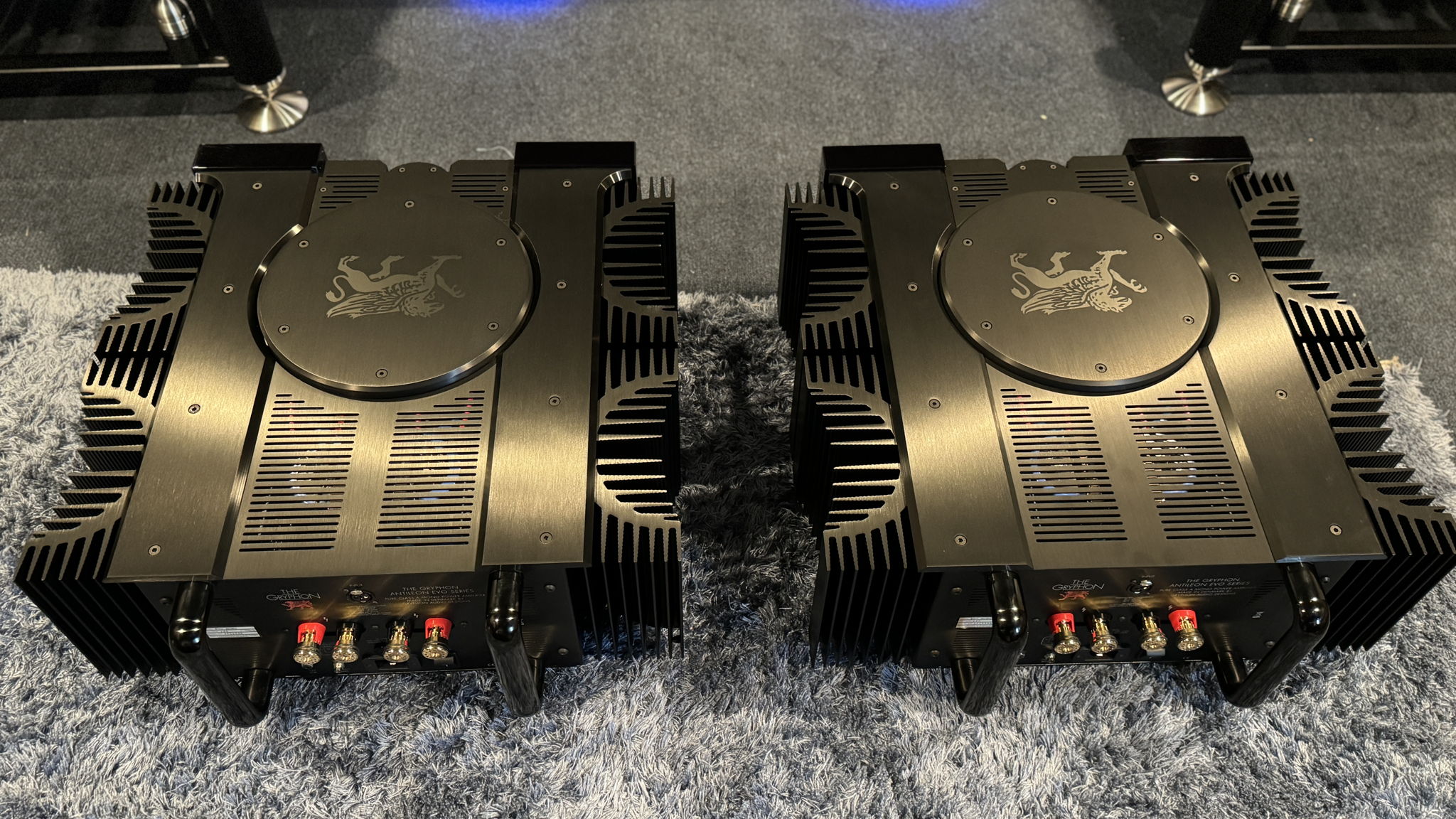 Gryphon Antileon Evo Monoblocks - First Time Ever Being... 5