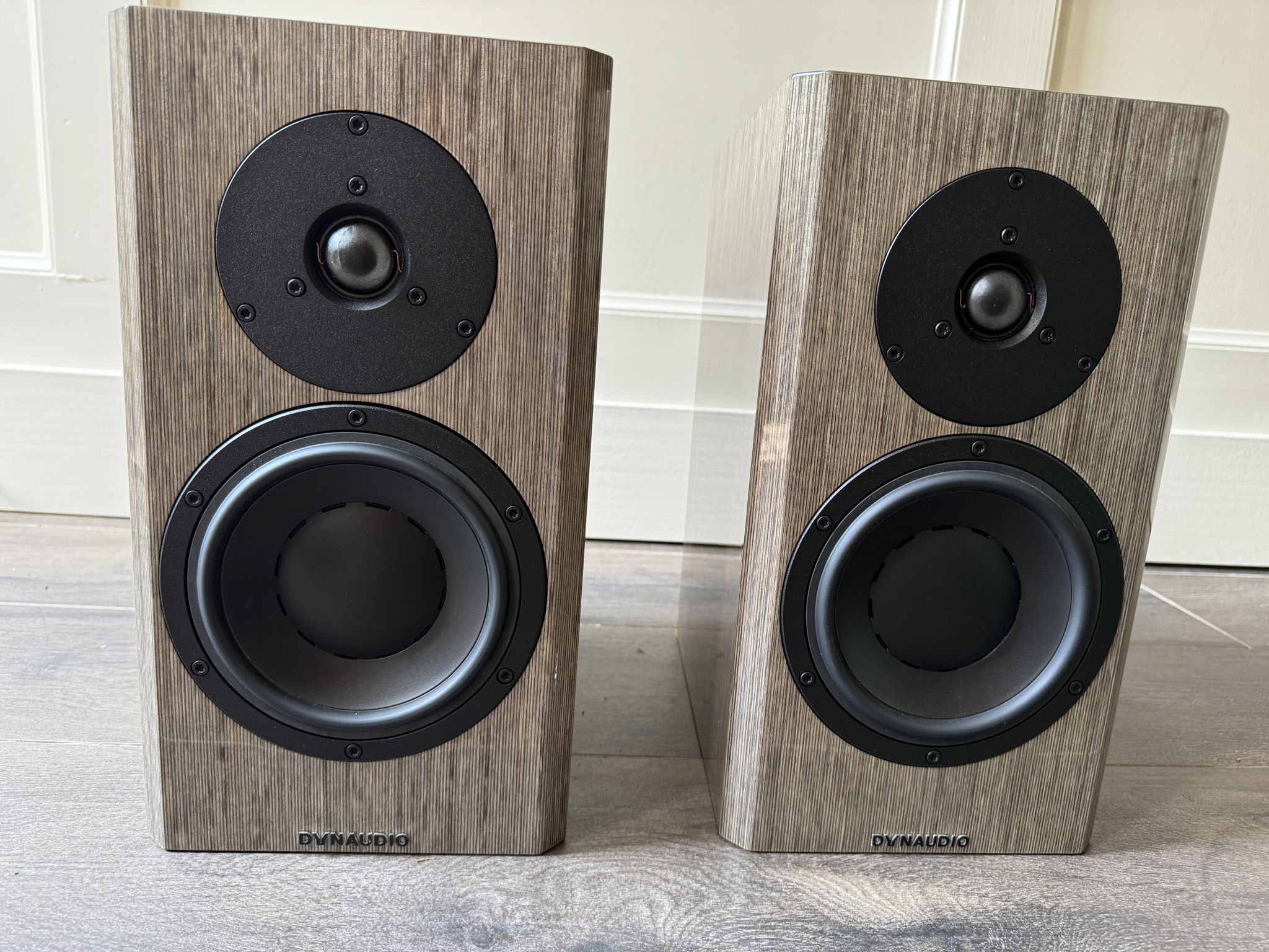 Dynaudio Special Anniversary 40 Grey Birch high Gloss