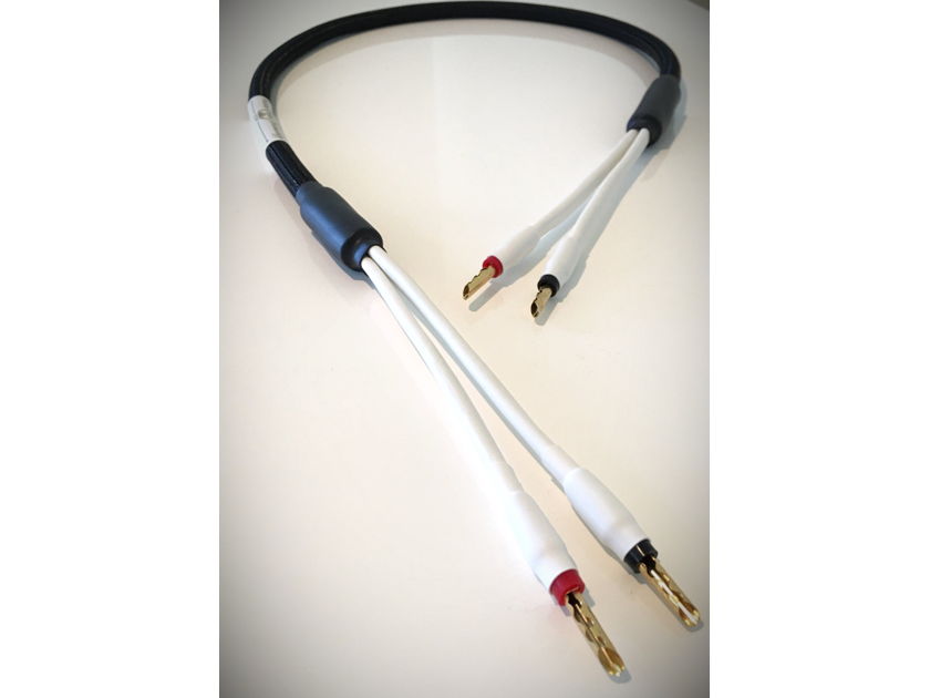 Wisdom Cable Technology Diamond Series XS (6FT pair spade or banana)