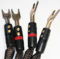 AudioQuest Oak Bi-Wire Speaker Cables with Silver Spade... 5