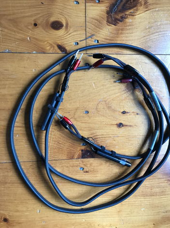 AudioQuest Meteor Speaker Cables. 7' pair