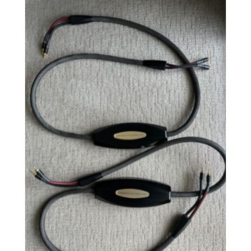 Transparent ULTRA speaker cable 8 Ft Pair