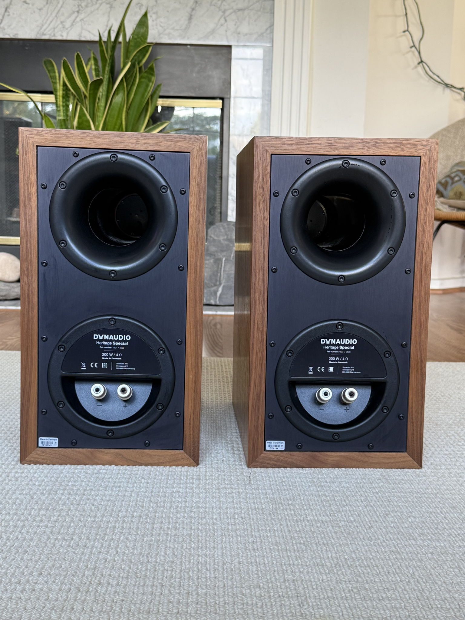 Dynaudio Heritage Special 3