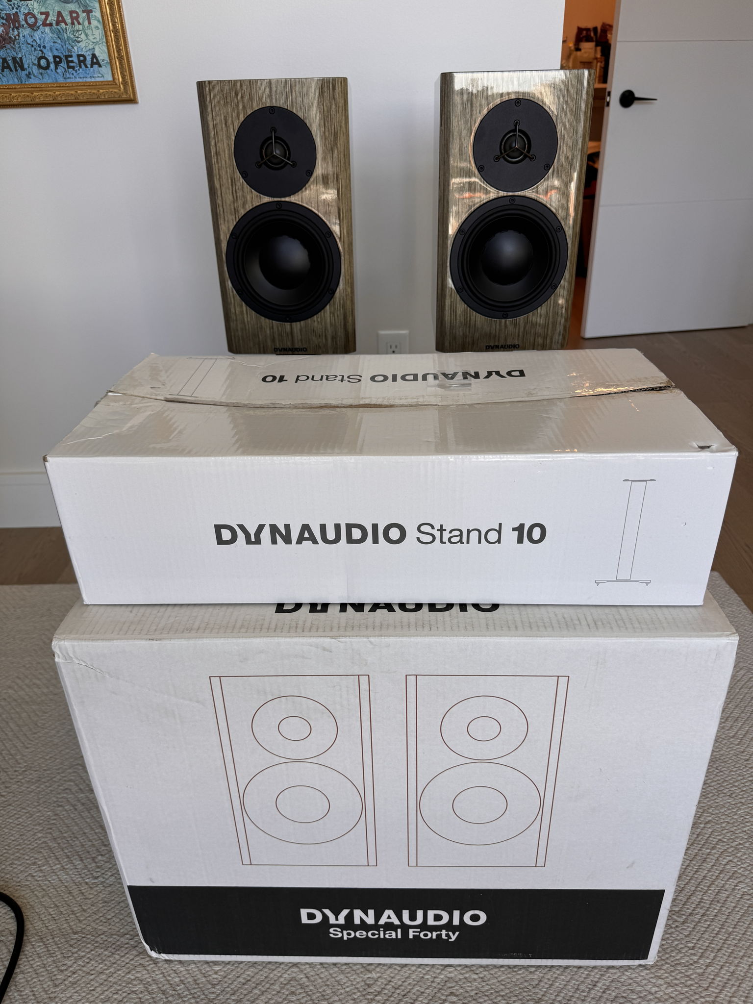 Dynaudio Special Anniversary 40 Grey Birch High Gloss 7