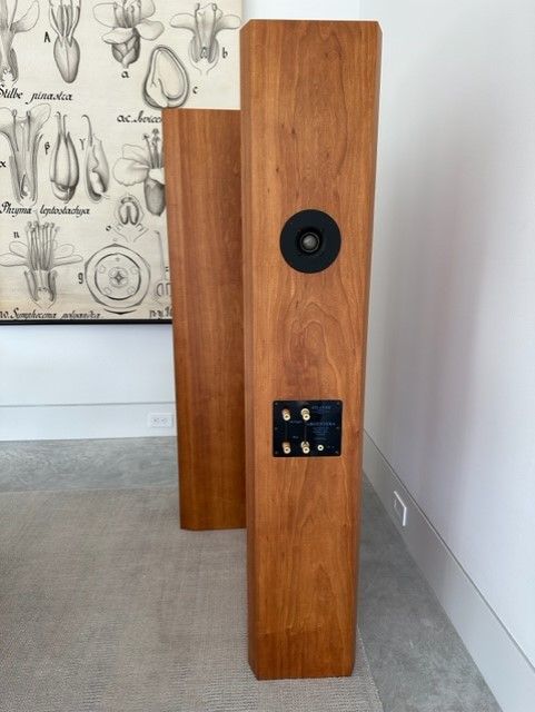 Atlantis Acoustique Argentera 9