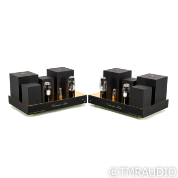 Destination Audio Type 45 Tube Monoblock Power Amplifie...