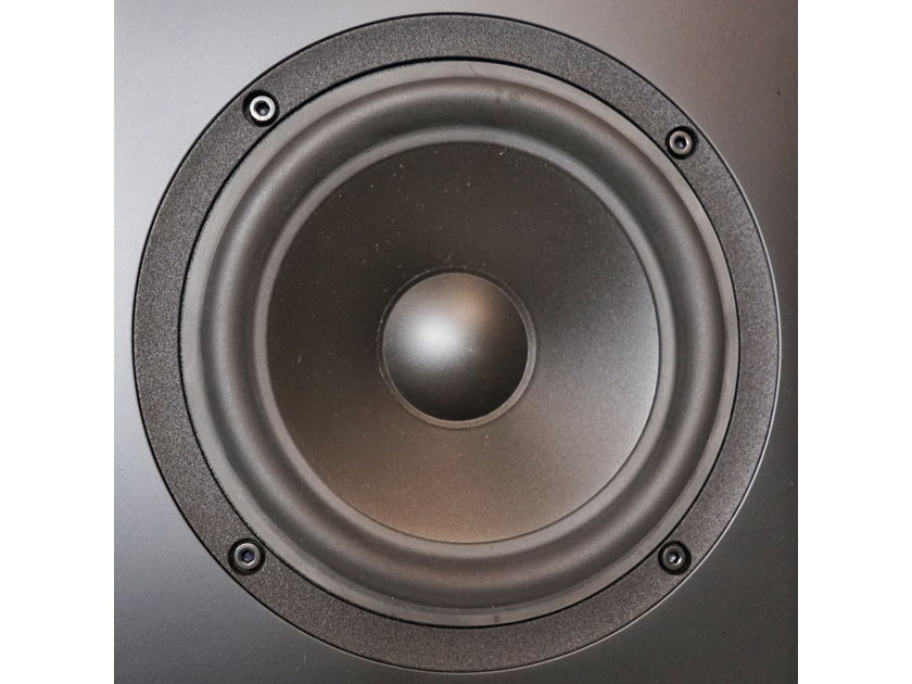 Buchardt Audio S300 MkII   - Price Reduced -