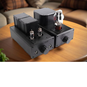 Woo Audio WA6-SE Special Edition Headphone Amplifier - ...