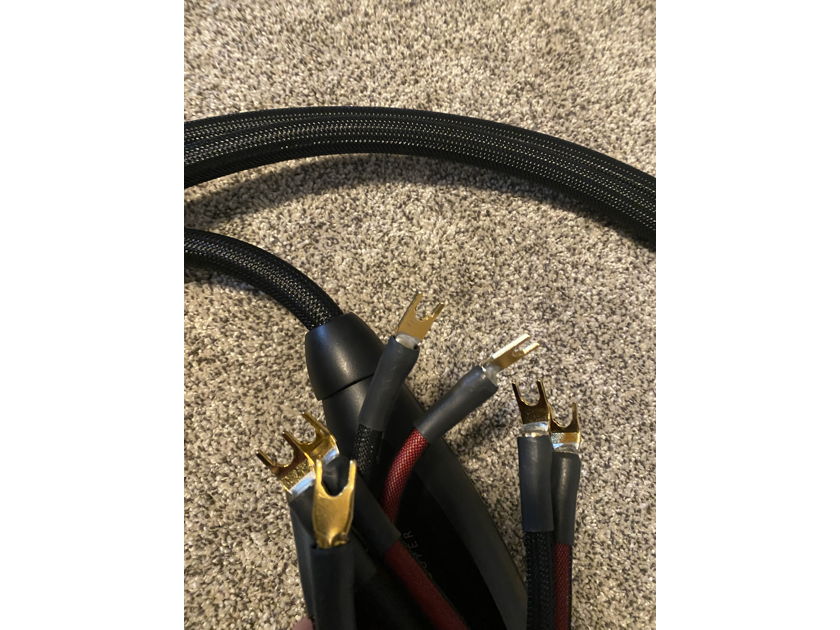 Transparent Audio Super speaker cable gen 5