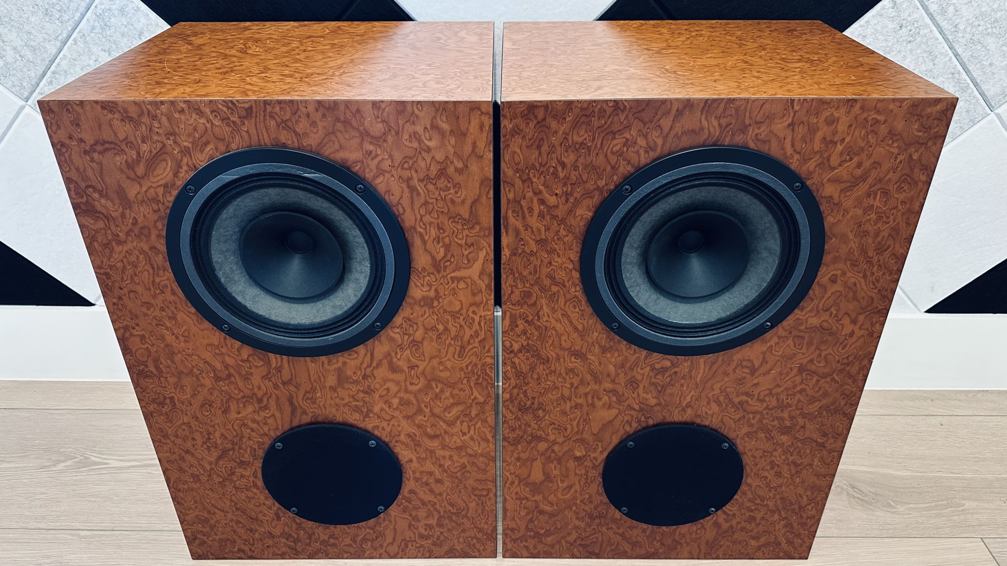 Omega Speaker Systems SuperHemp Full Range Speakers VER...