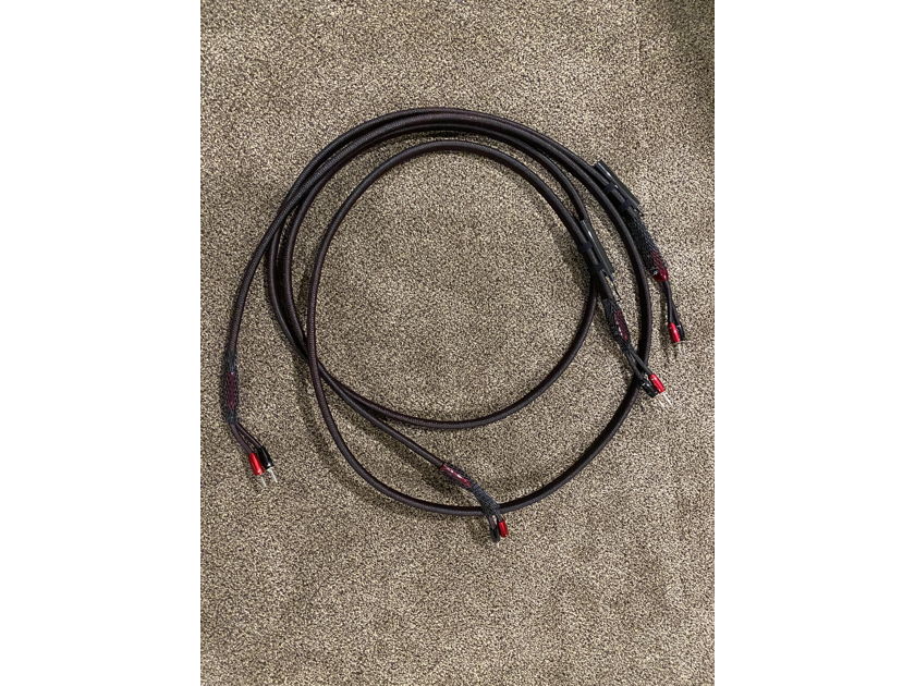 AudioQuest William Tell Zero Speaker Wire 10ft pair