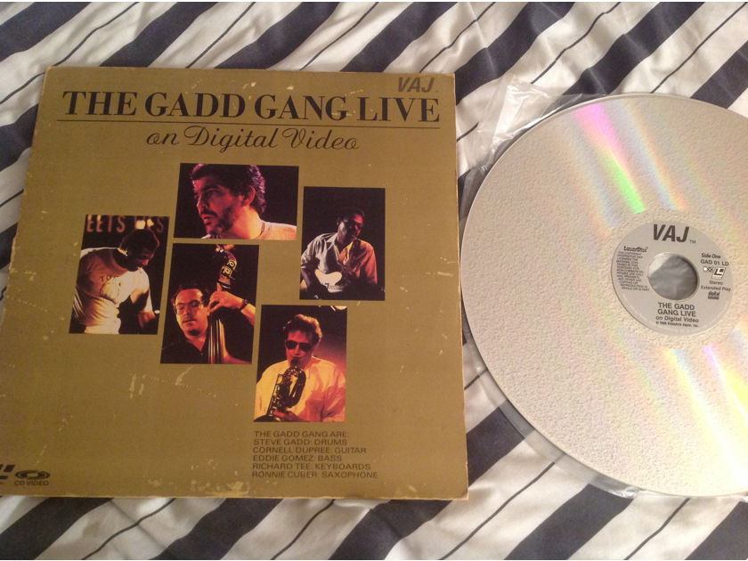 Steve Gadd  The Gadd Gang Live On Digital Video