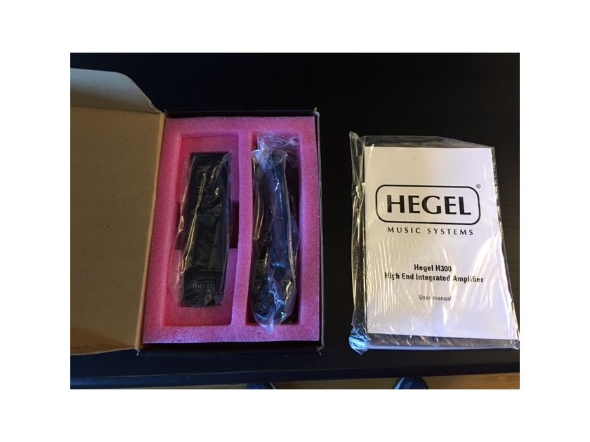 Hegel H300