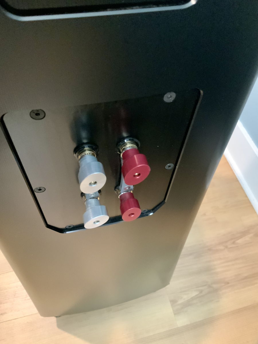 BEST OFFER - DEMO YG Acoustics Hailey 2.2 14