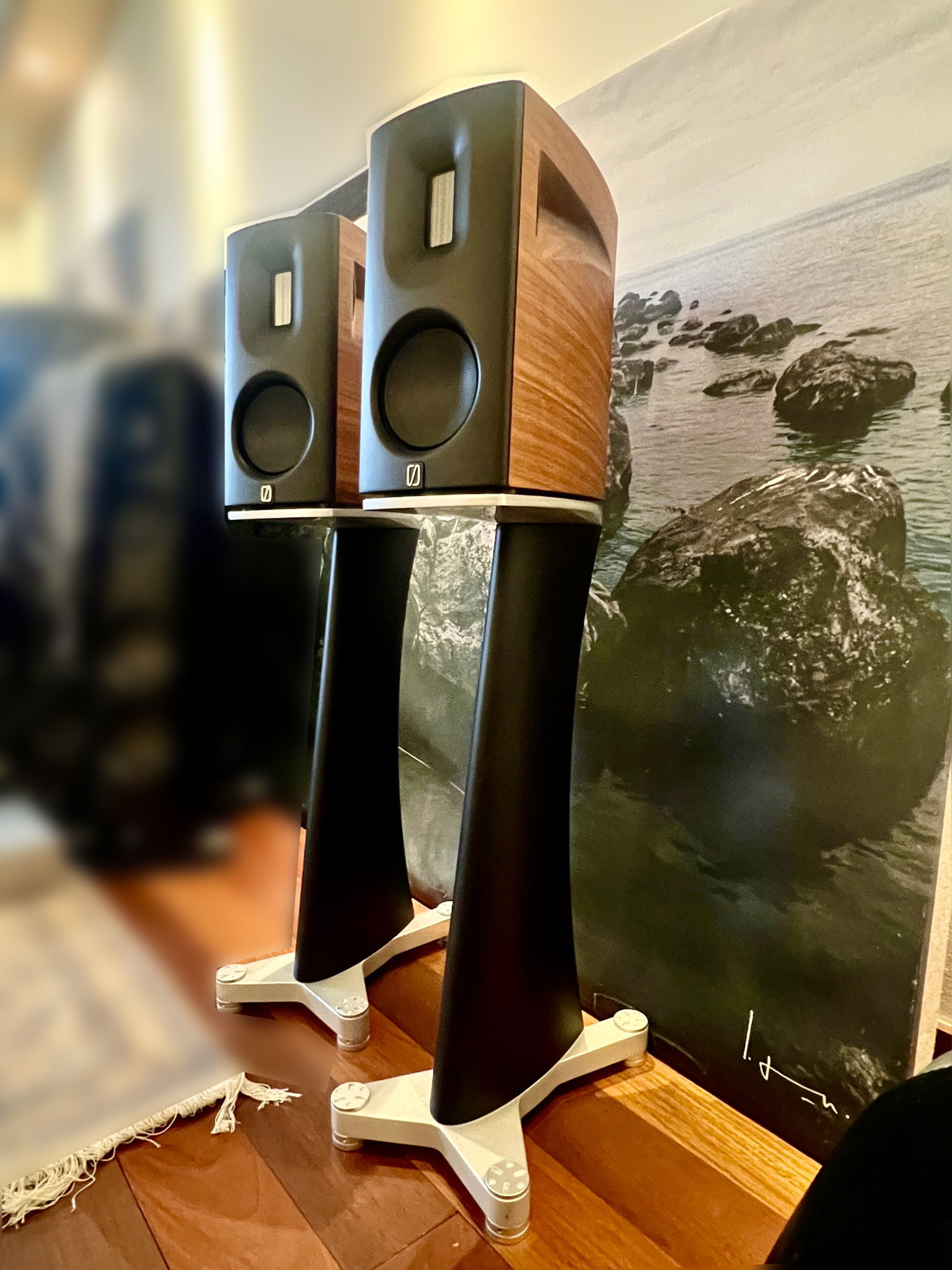 Borresen 01 Silver Supreme