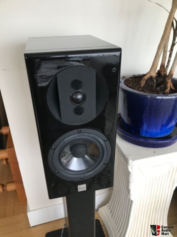 Vienna Acoustics Haydn Grand Symphony Speakers 6