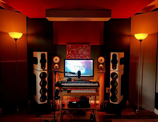 Amphion One18 Pair with Amp700 & AudioQuest Rocket 88 C...