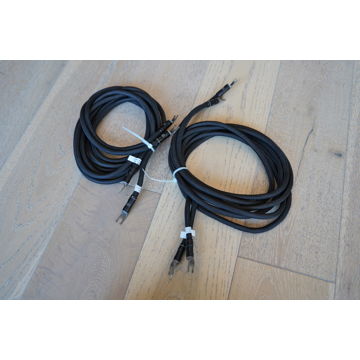 Silent Source Signature Silver Speaker Cable (Silver He...