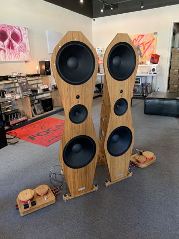 Tri-Art Audio B Series 5-Open Baffle Speakers & Xovers-...