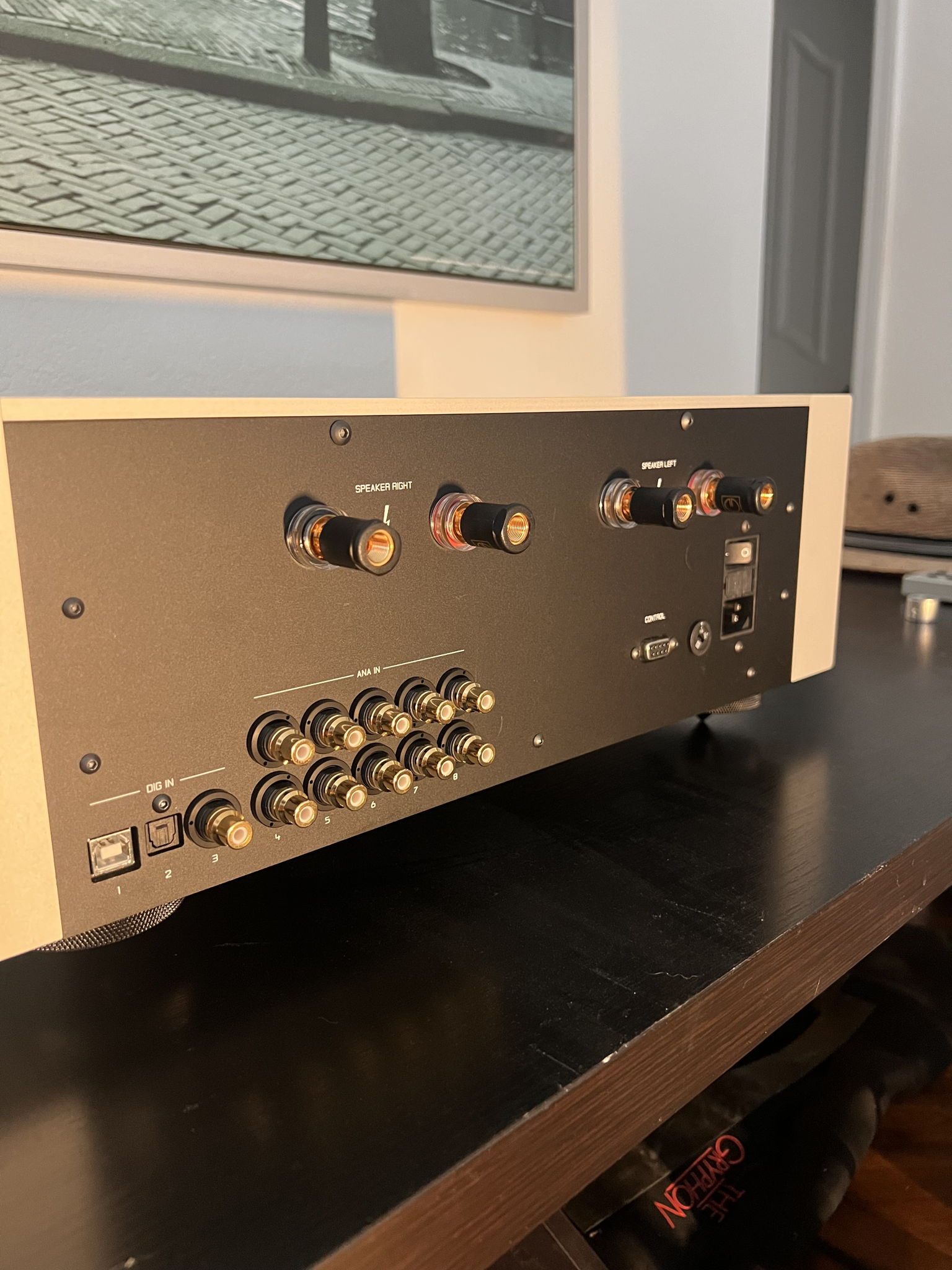 Goldmund Telos 590 NextGen MKII 4