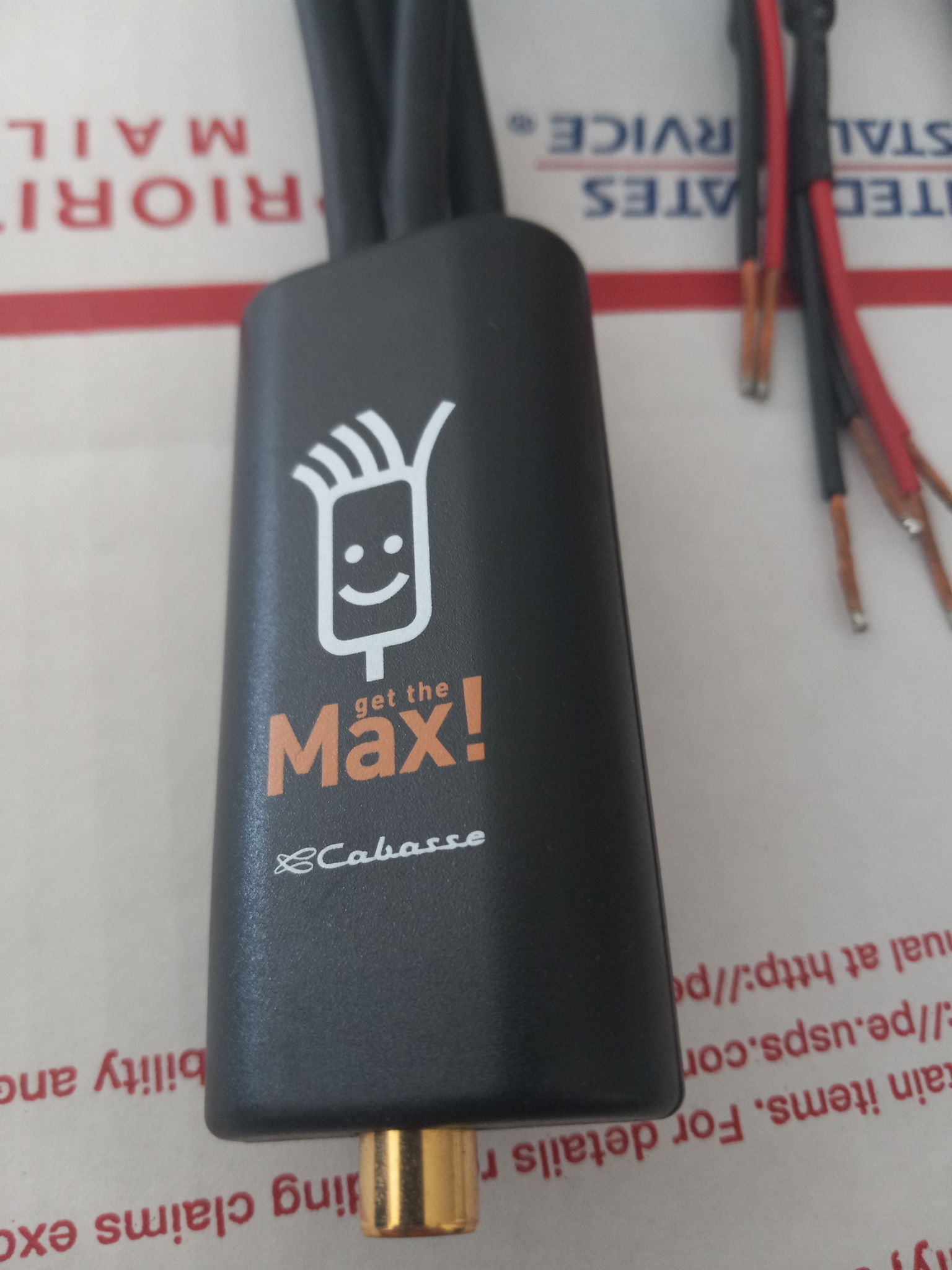 CABASSE  (Italian Speaker Manufacturer) model MAX speak... 4
