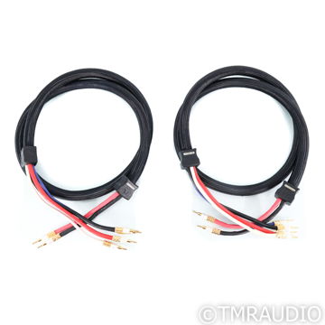 PS Audio Xstream Statement Bi-Wire Speaker Cables; 2.5m...