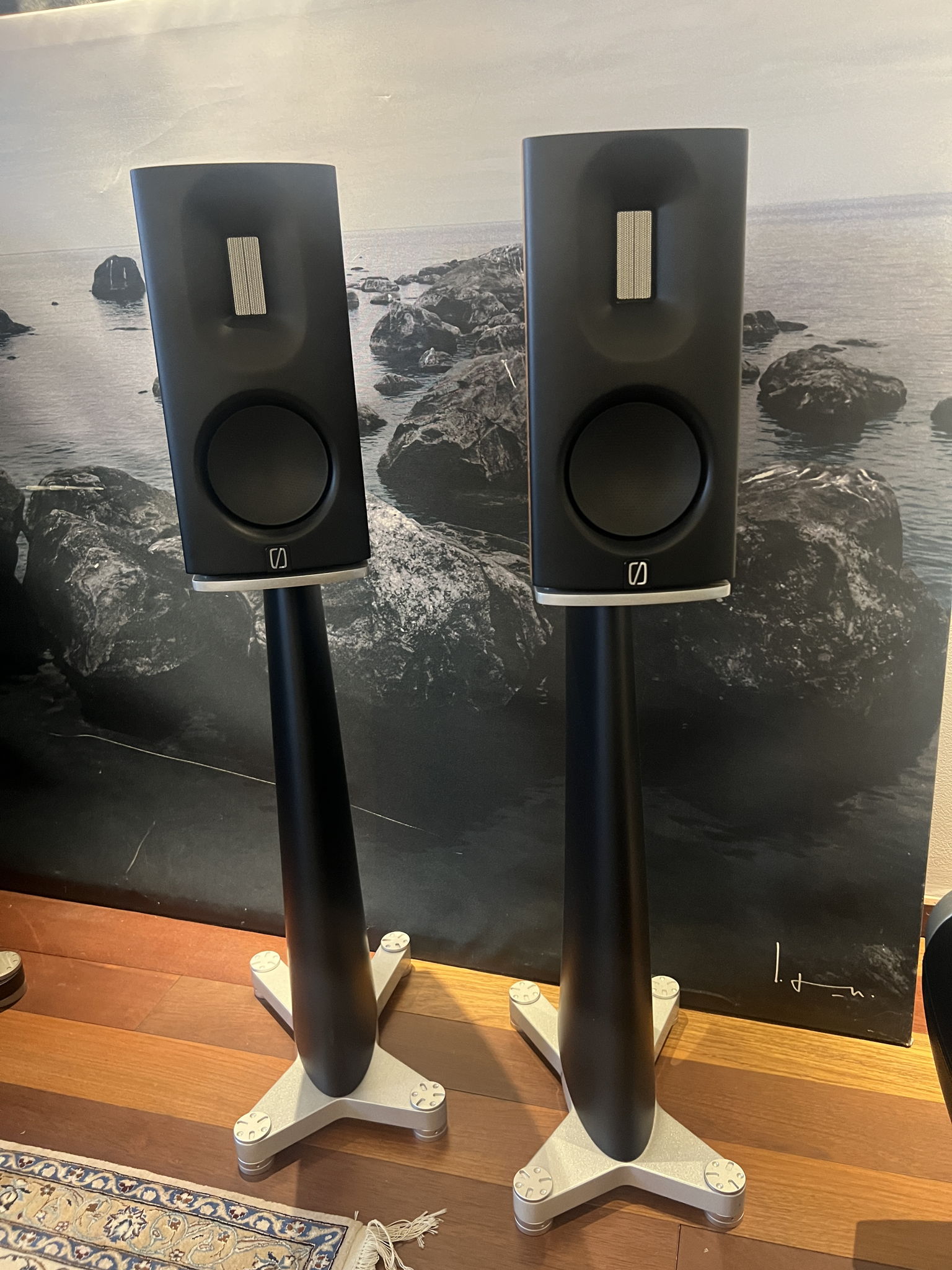 Borresen 01 Silver Supreme 3