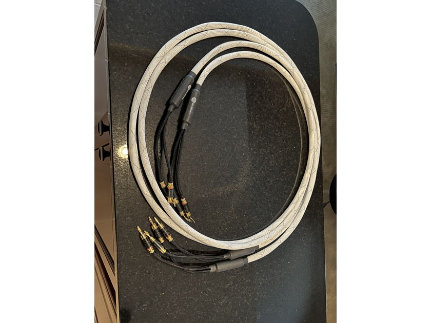 WyWires, LLC Platinum Series Speaker Cable