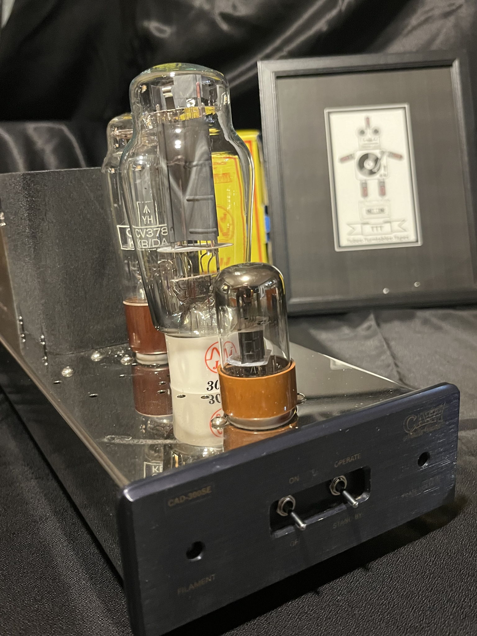 Cary Monoblock Amplifiers 3