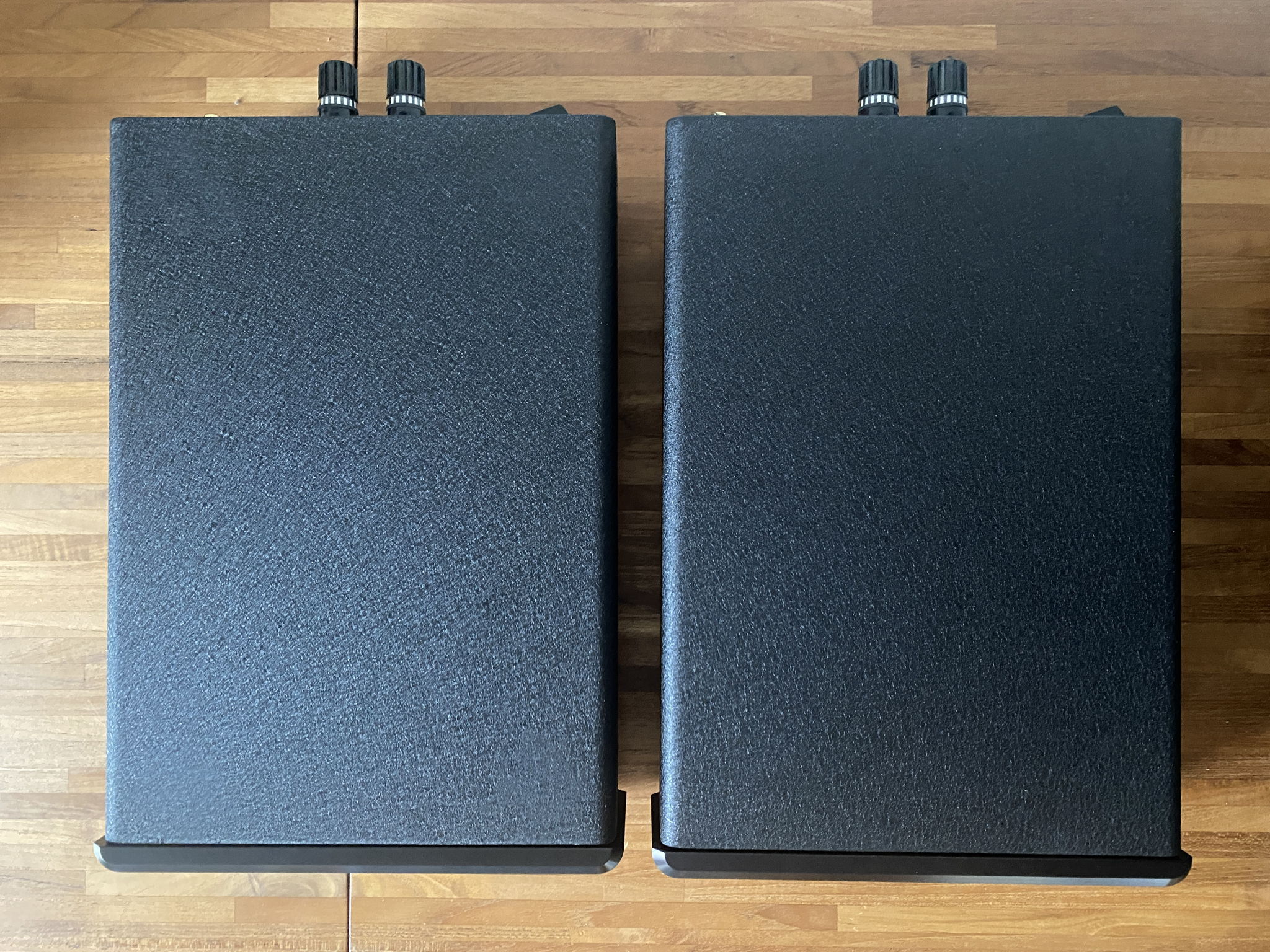 Bel Canto e.One REF600M Mono Power Amplifier Blocks (pair) 5