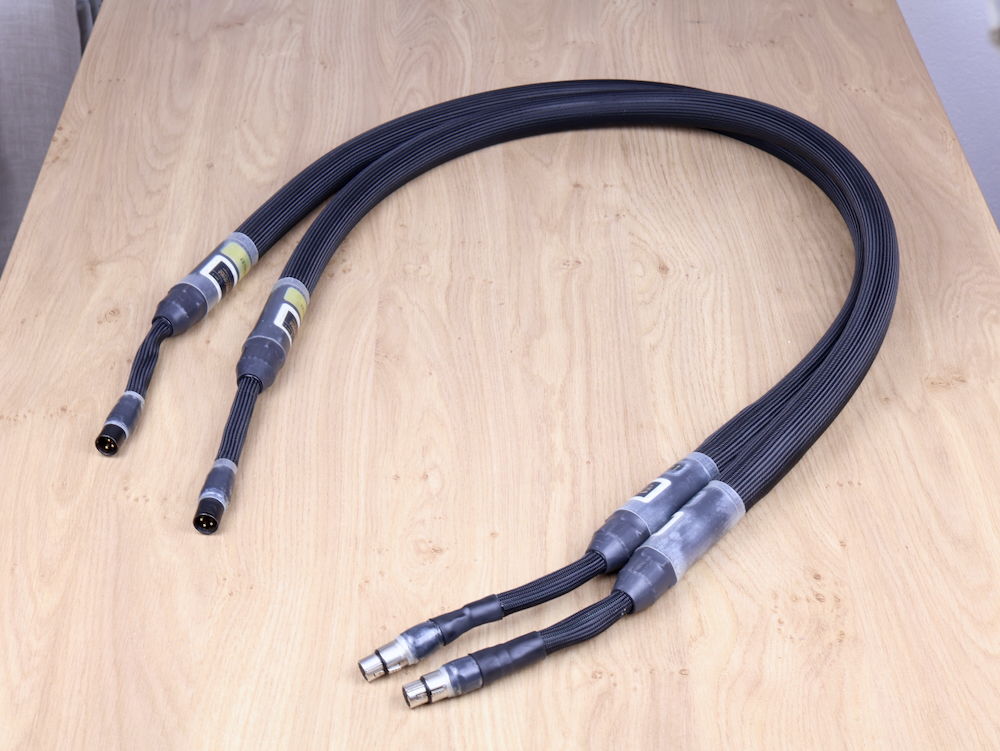 PAD Purist Audio Design DOMINUS プラズマ PADPurist Audio Design