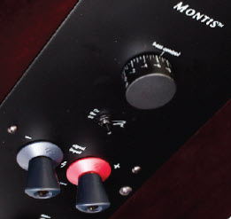 MartinLogan Montis 2