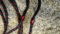 AudioQuest CV-6 Speaker Cables - Biwired - Please look ... 9