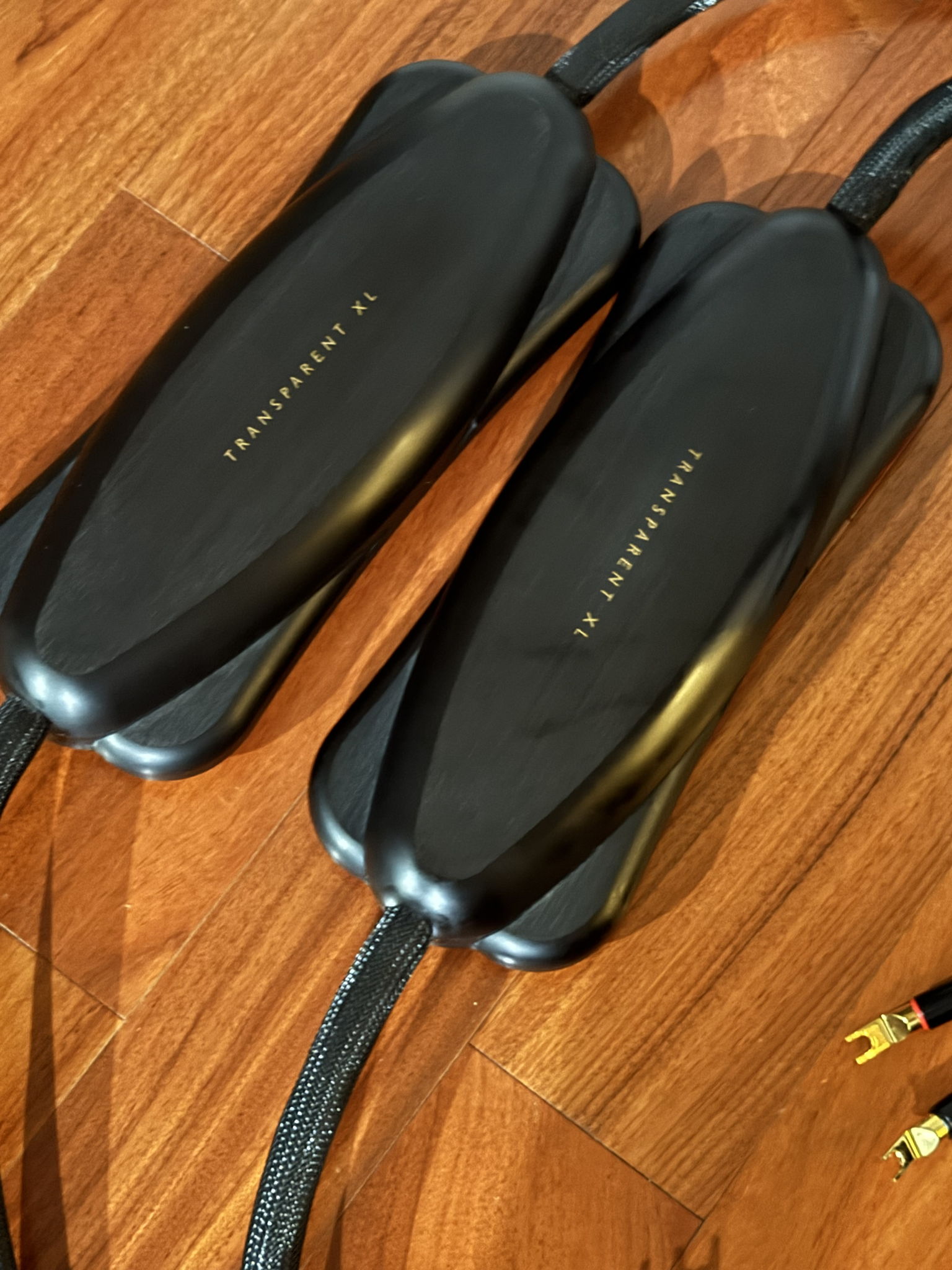 Transparent Audio XL Gen V speaker Cables 10 feet. spades.