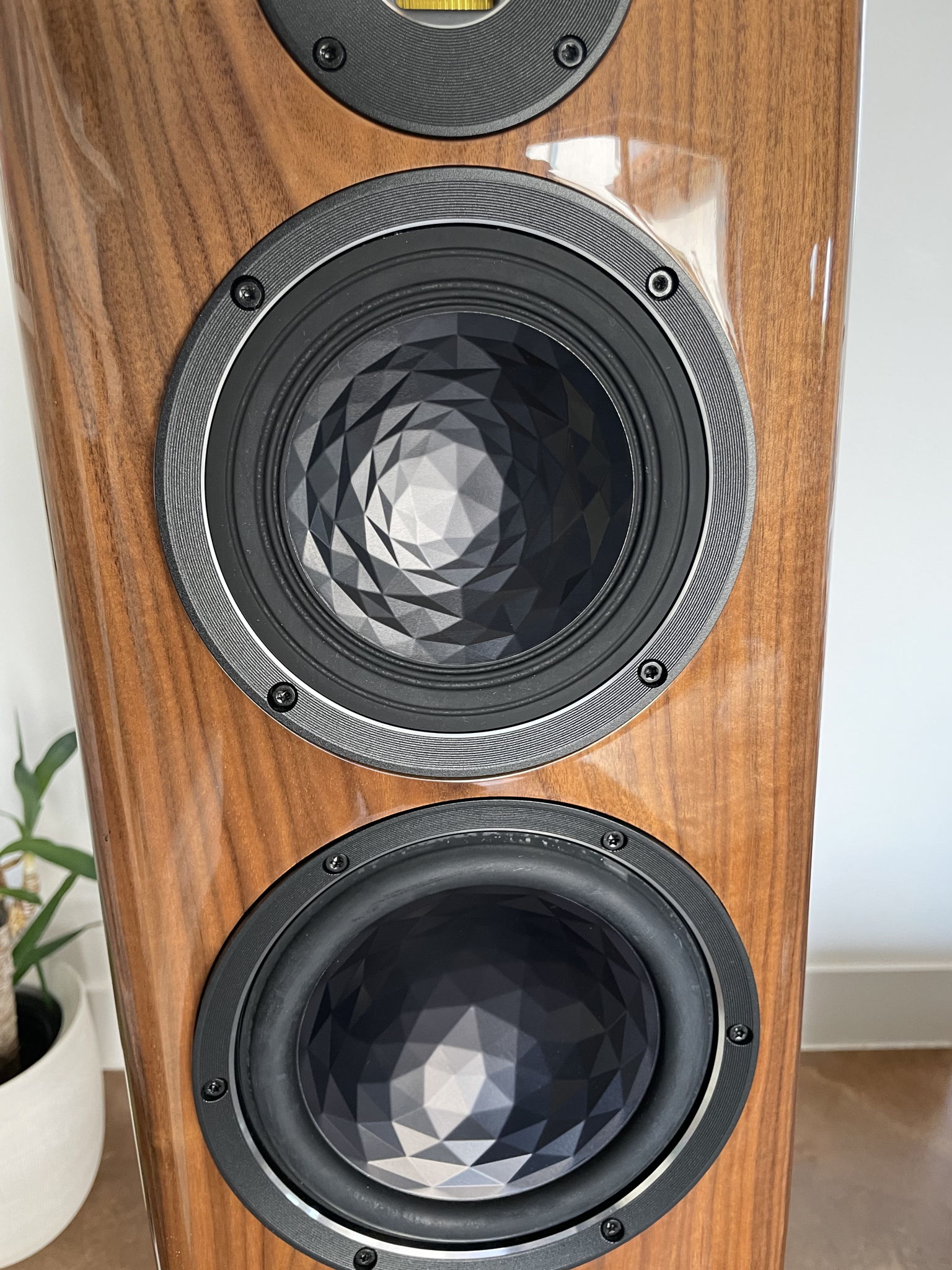 Elac Vela FS 409 Speakers - Gloss Walnut 3