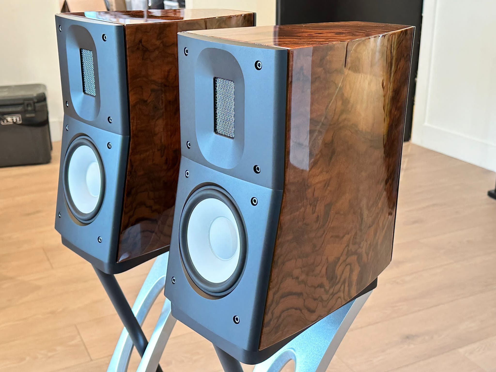 Raidho speakers for store sale