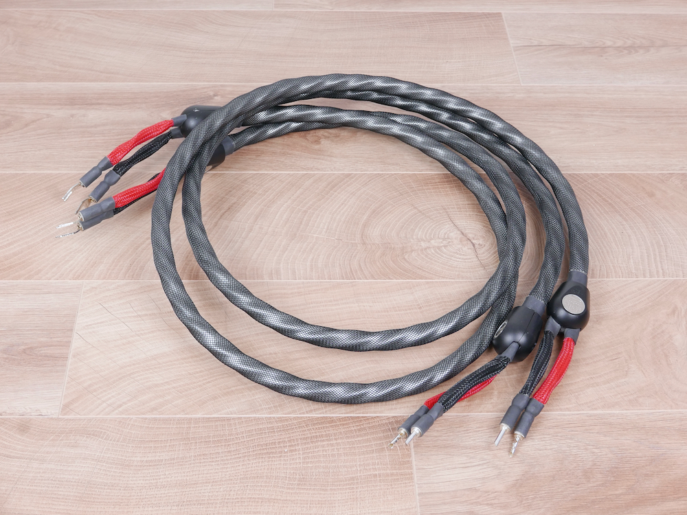 WIREWORLD Silver Eclipse5-2 RCAケーブル うま 1.0m