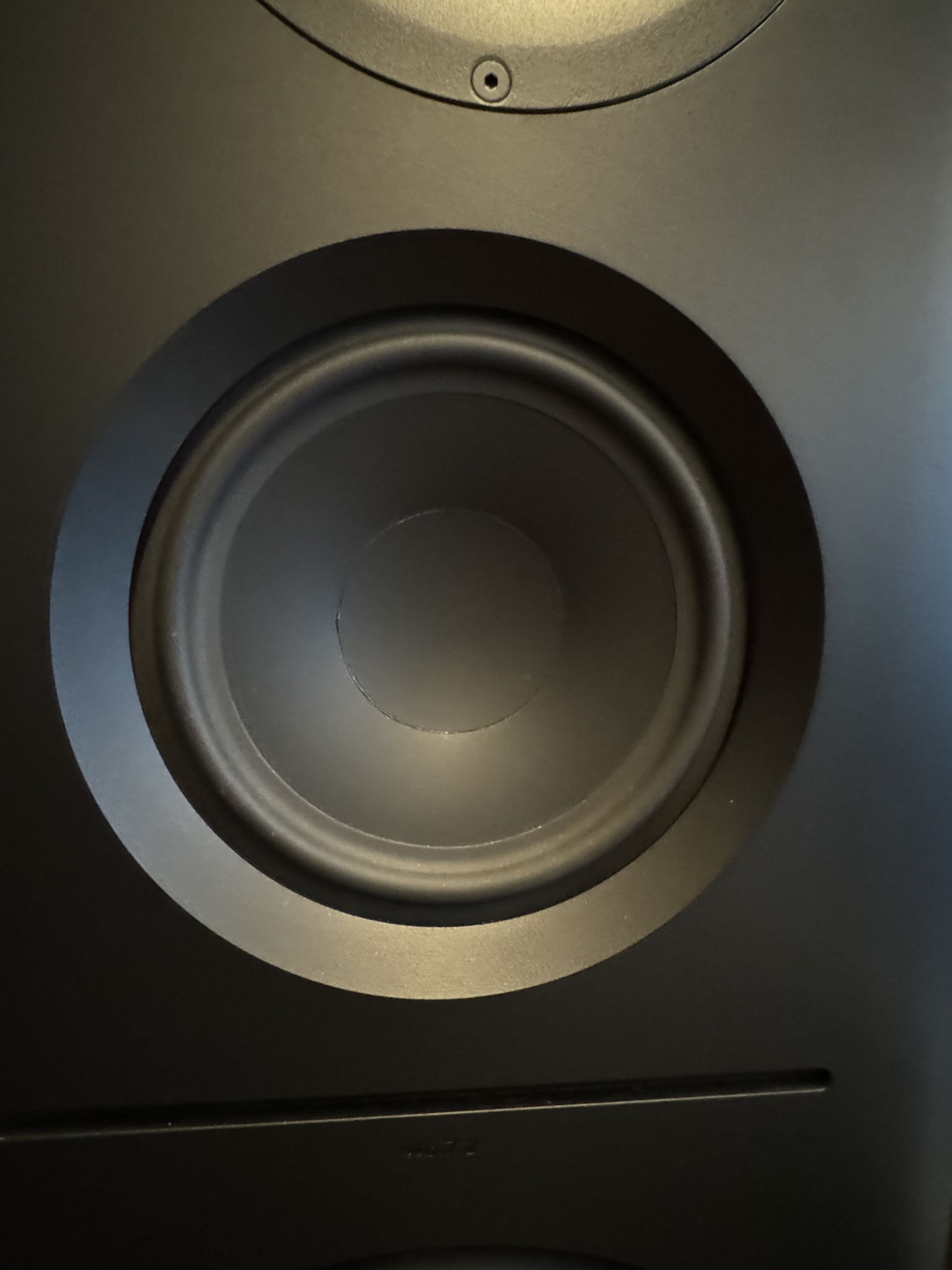 Lansche Audio No 7.2 - PLASMA tweeter 5