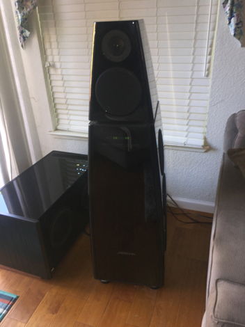 Meridian DSP-8000 system