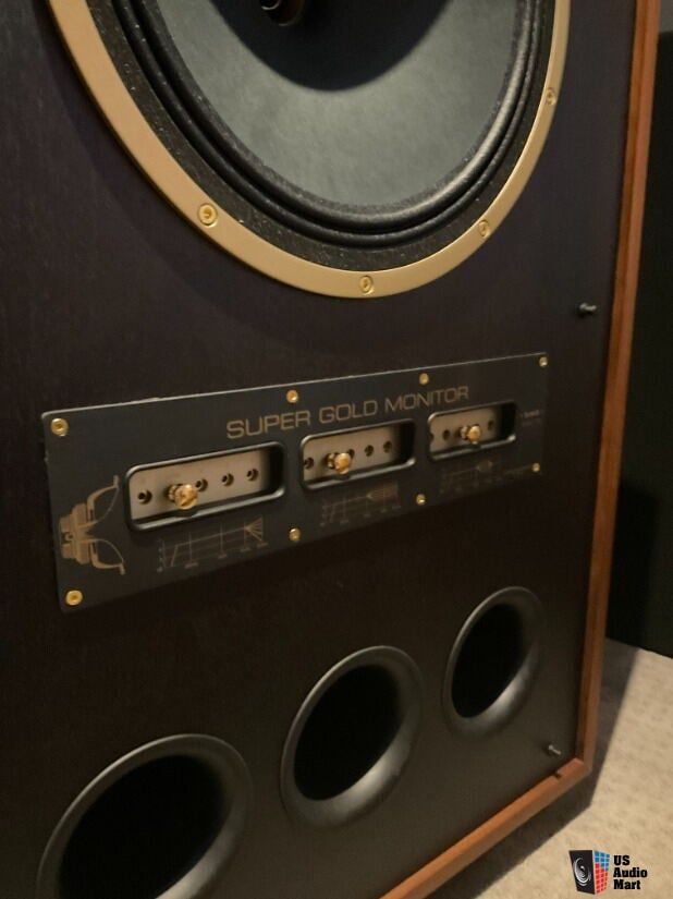 Tannoy SGM-15 11