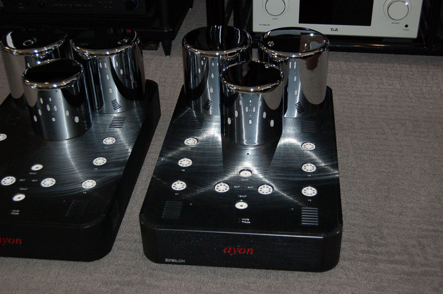 Ayon Audio Epsilon Mono Amps Pure Class A- 240V model 3
