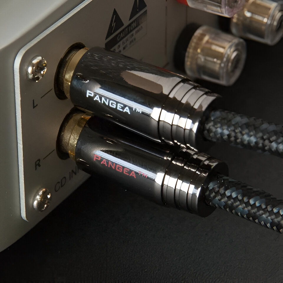 Pangea Audio XL Interconnect Cable 2.0 Meter with Carda... 2
